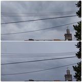 今日…【たまの日記】
