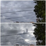 たぁ～またま…【たまの日記】