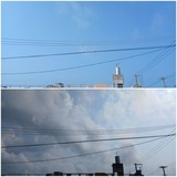 暑さ…【たまの日記】