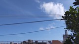 無事に…【たまの日記】