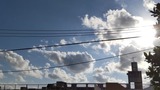 やぁ～っぱり…【たまの日記】