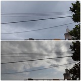 昨日…【たまの日記】