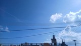 数日ぶり…【たまの日記】