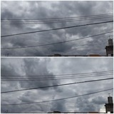 午前中…【たまの日記】