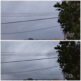 雨…【たまの日記】