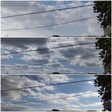 相変わらず…【たまの日記】