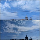 一日中…【たまの日記】