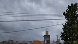 期待…【たまの日記】