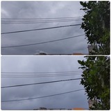 最低…【たまの日記】