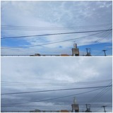 昨日…【たまの日記】