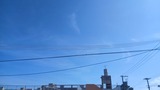 無事…【たまの日記】