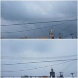 雲…【たまの日記】