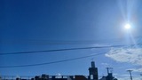 まぁ～た…【たまの日記】