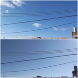 ここ数日中…【たまの日記】