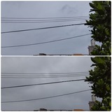 雨…【たまの日記】