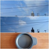 今日…【たまの日記】