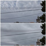 空…【たまの日記】