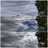 朝方…【たまの日記】