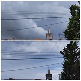 雲は…【たまの日記】