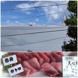 雲…【たまの日記】