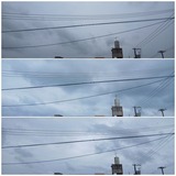 PM4:00…【たまの日記】