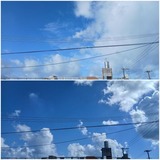 雲…【たまの日記】