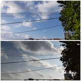 相も変わらず…【たまの日記】