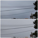 朝…【たまの日記】
