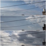 雲…【たまの日記】