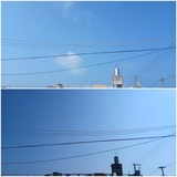 一日中…【たまの日記】