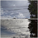 お天気…【たまの日記】