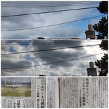 雲…【たまの日記】