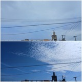 朝…【たまの日記】