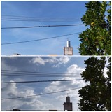 雲が…【たまの日記】