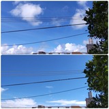 空…【たまの日記】