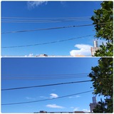 今日…【たまの日記】