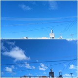 いい加減…【たまの日記】