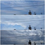 お昼過ぎ…【たまの日記】