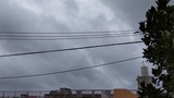 朝…【たまの日記】
