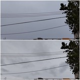 強い…【たまの日記】