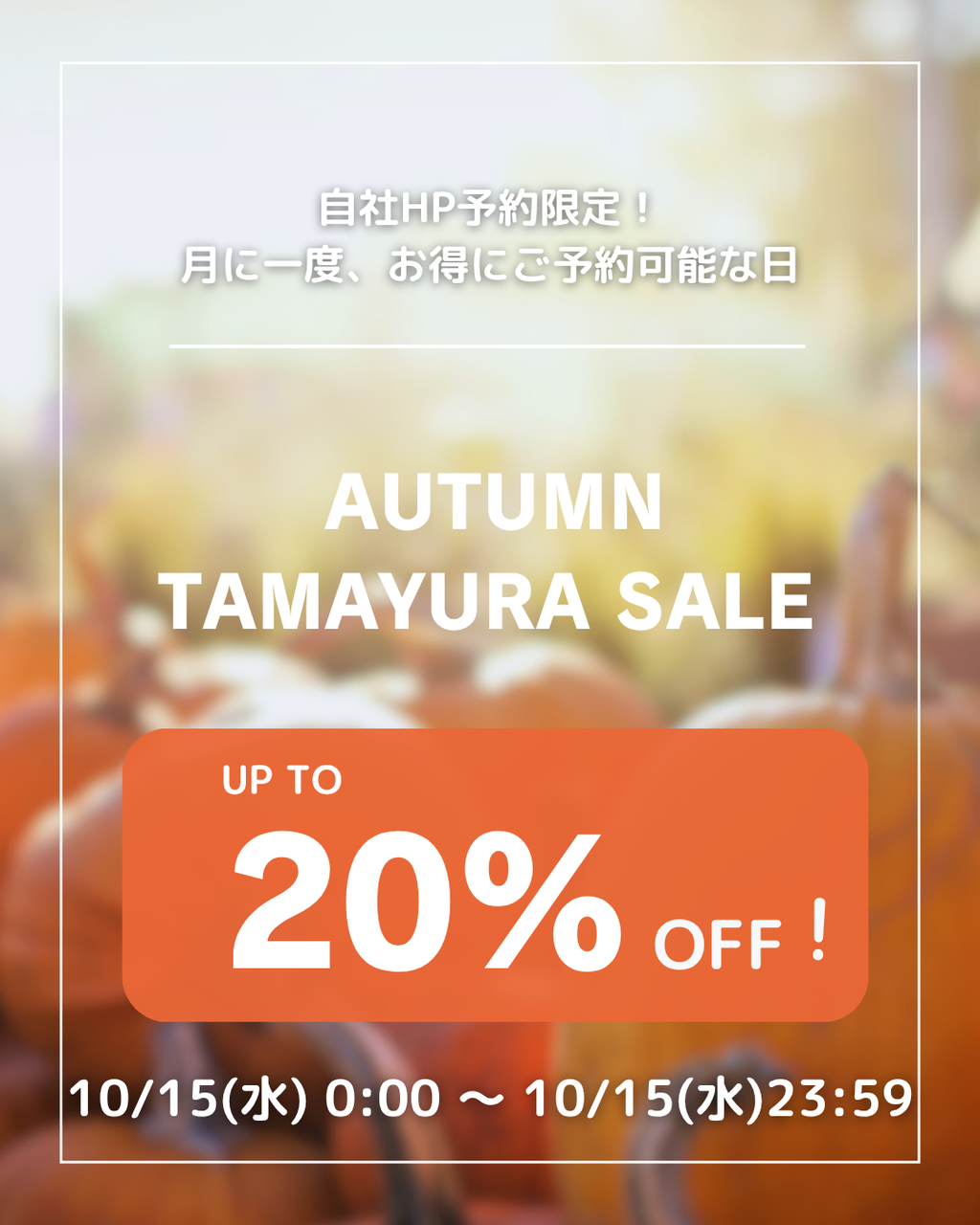 たまゆらSALE/10月 (2)