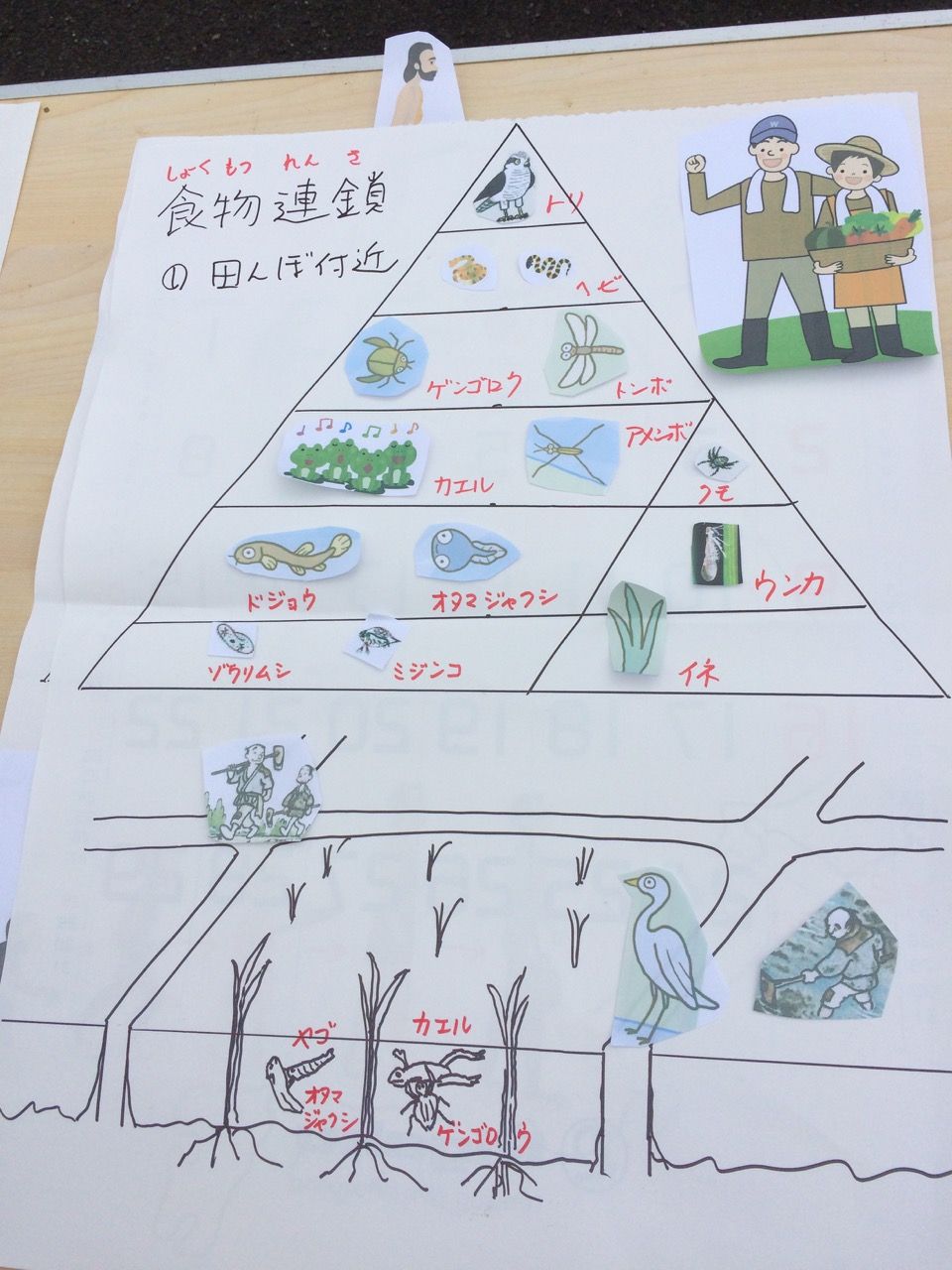 草との戦い 小田原 たんぼの学校 初級コース