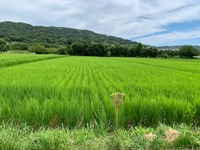 IMG_5627