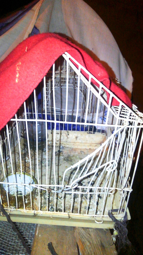 090531e7.jpg