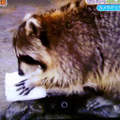 面白いコピペや画像をおねがいします 珍品オレオ 面白いコピペや画像をおねがいします 珍品オレオ