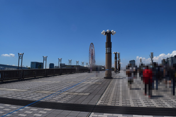 DSC_0668