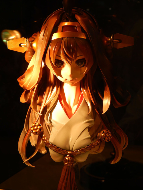 DSCN6222