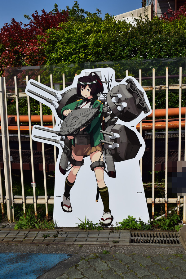 DSC_0235