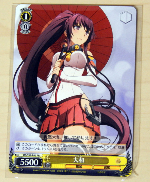 DSCN5805