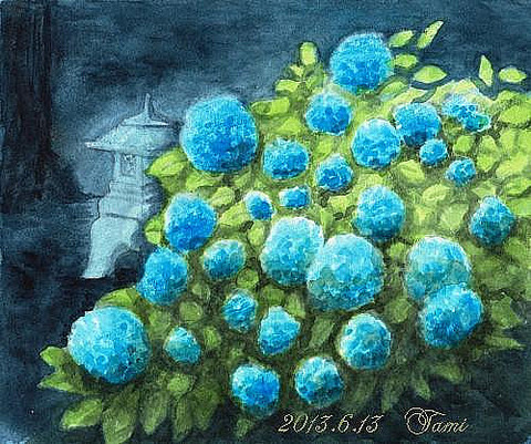 13.6.13「「紫陽花」＠